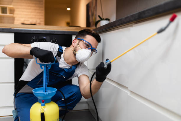 Best Best Pest Control Companies  in Hercules, CA