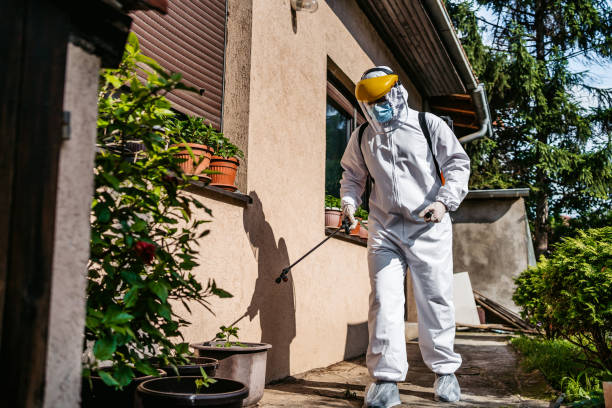 Wasp Removal Services in Hercules, CA