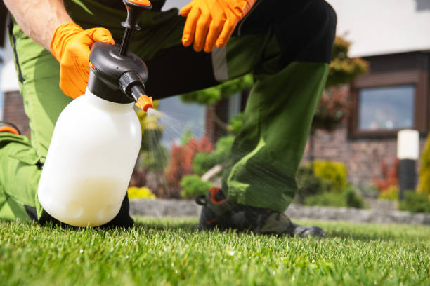 Best Local Pest Control Services  in Hercules, CA