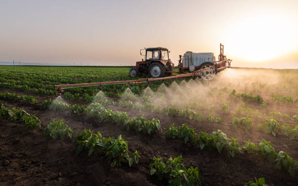 Reliable Hercules, CA Pest Control Solutions