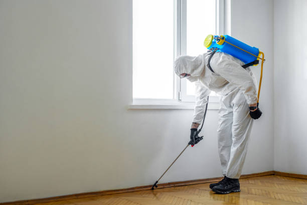 Best Pest Removal Services  in Hercules, CA
