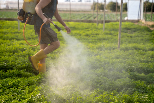 Best Pest Control Near Me  in Hercules, CA