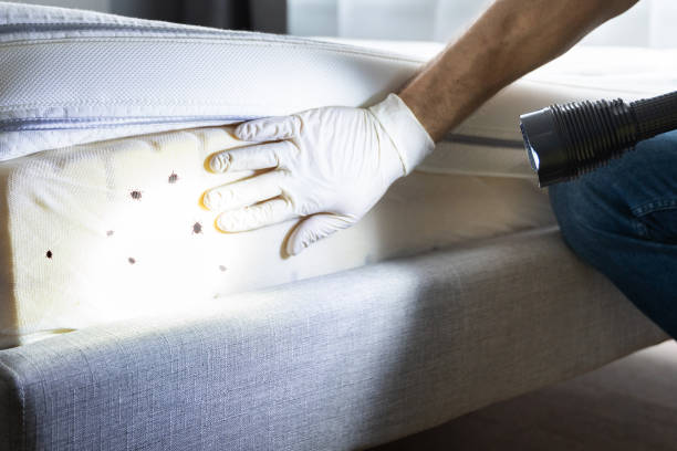 Best Pest Control Near Me  in Hercules, CA