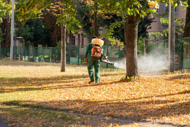 Pest Control for Restaurants in Hercules, CA