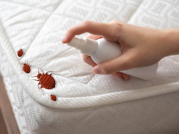 Best Pest Inspection Near Me  in Hercules, CA