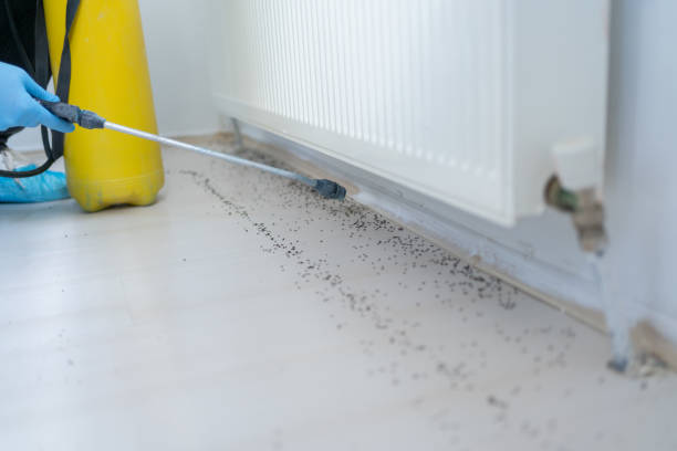 Best Pest Control for Restaurants  in Hercules, CA