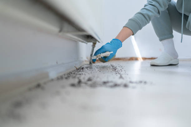 Best Pest Control Cost  in Hercules, CA
