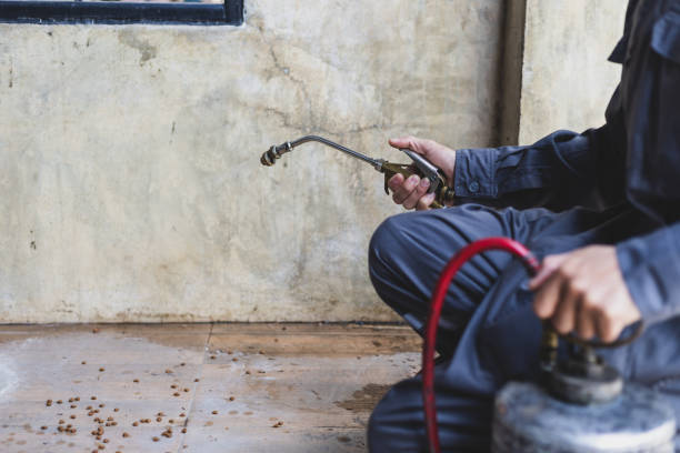 Best Affordable Pest Control Services  in Hercules, CA