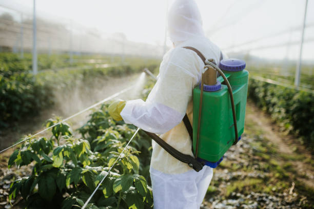 Best Rat Extermination Near Me  in Hercules, CA